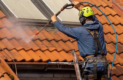 Démoussage et hydrofuge de toiture à Boyeux-Saint-Jérôme